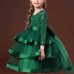 【3Y-13】Girl Elegant Flower Embroidery Long Sleeve Princess Dress - 3612